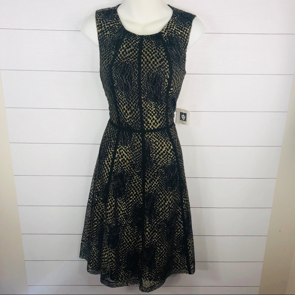 [Anne‎ Klein] Sleeveless Lace Fit-and-Flare Dress - Picture 7 of 8